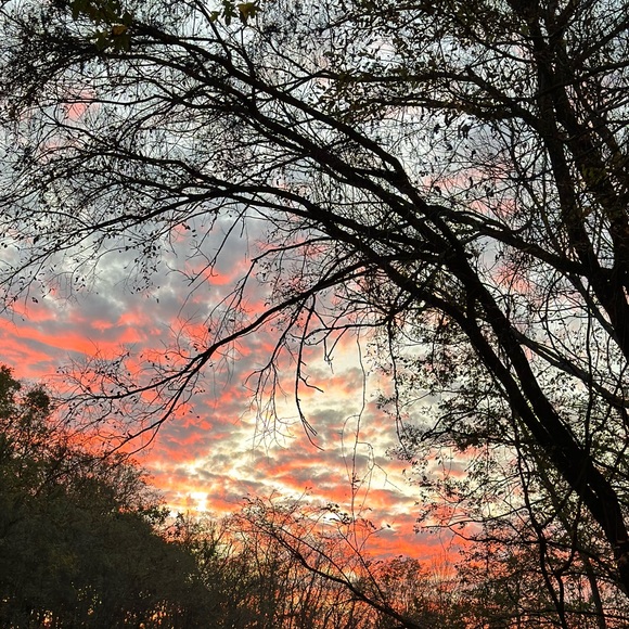 Meet your Posher, Christina - Picture 1 of 1